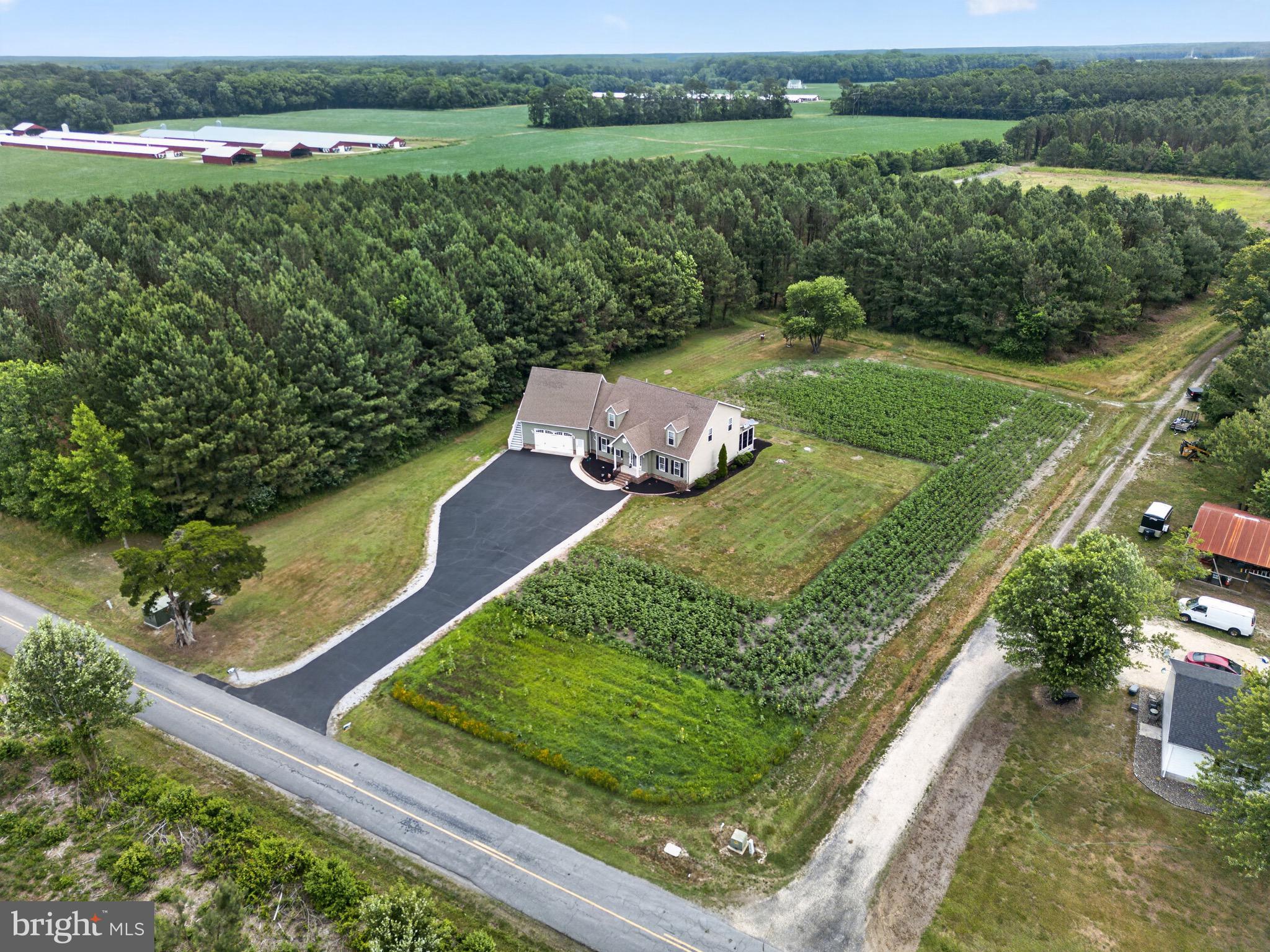 2435 Payne Road Pocomoke City, MD 21851 - Photo 9 of 85