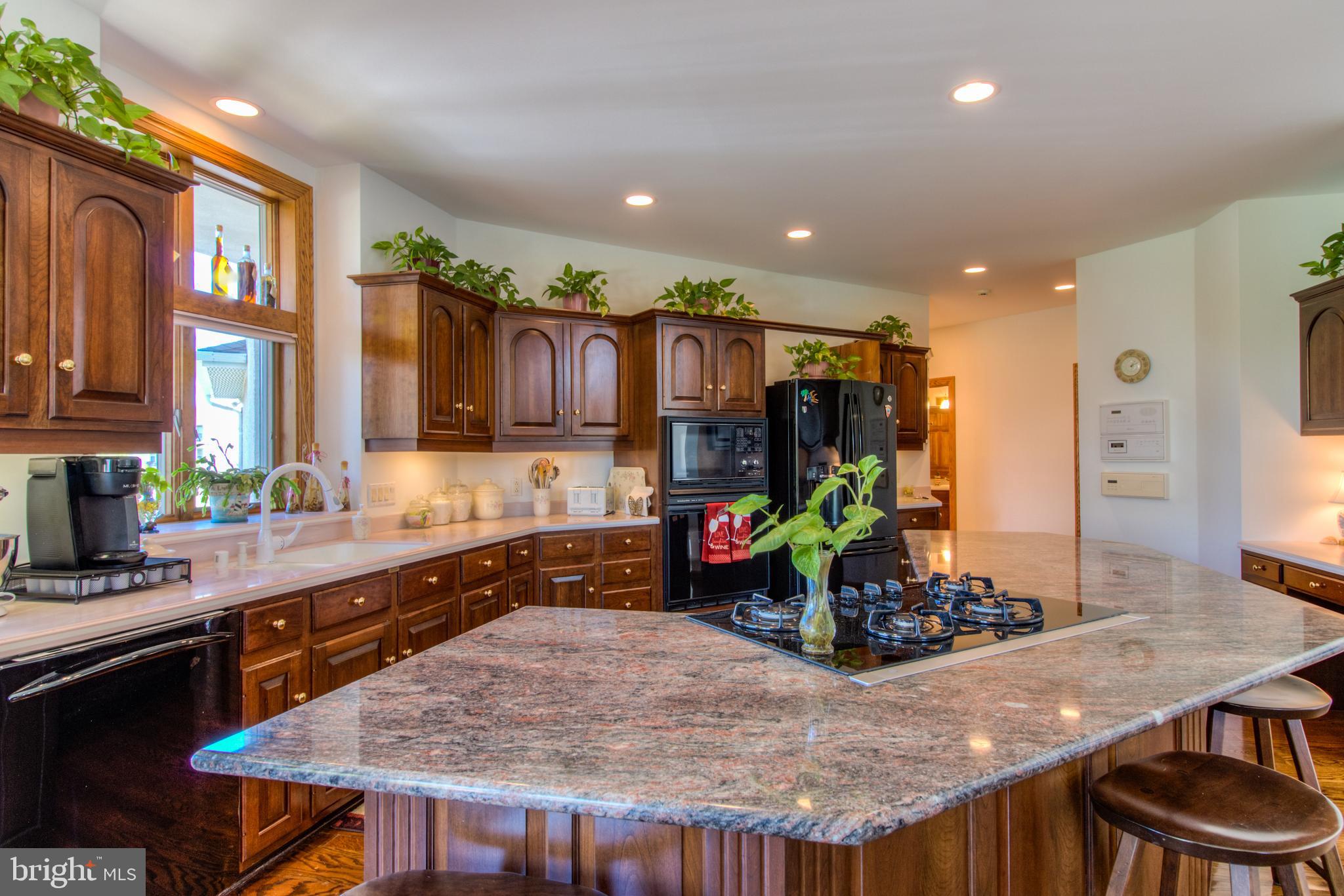 220 Silver Birch Lane Bear, DE 19701 - Photo 15 of 44 Kitchen