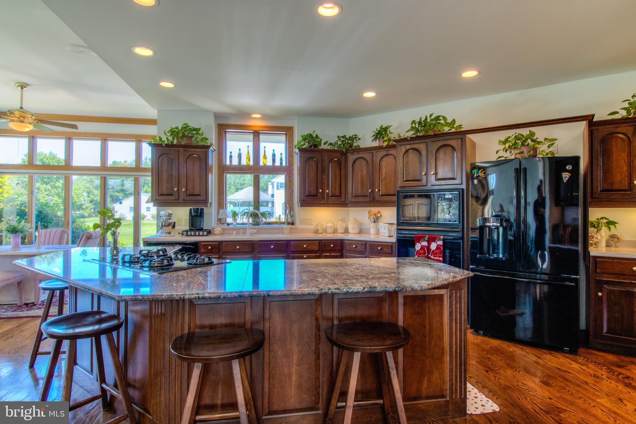 220 Silver Birch Lane Bear, DE 19701 - Photo 16 of 44 Kitchen