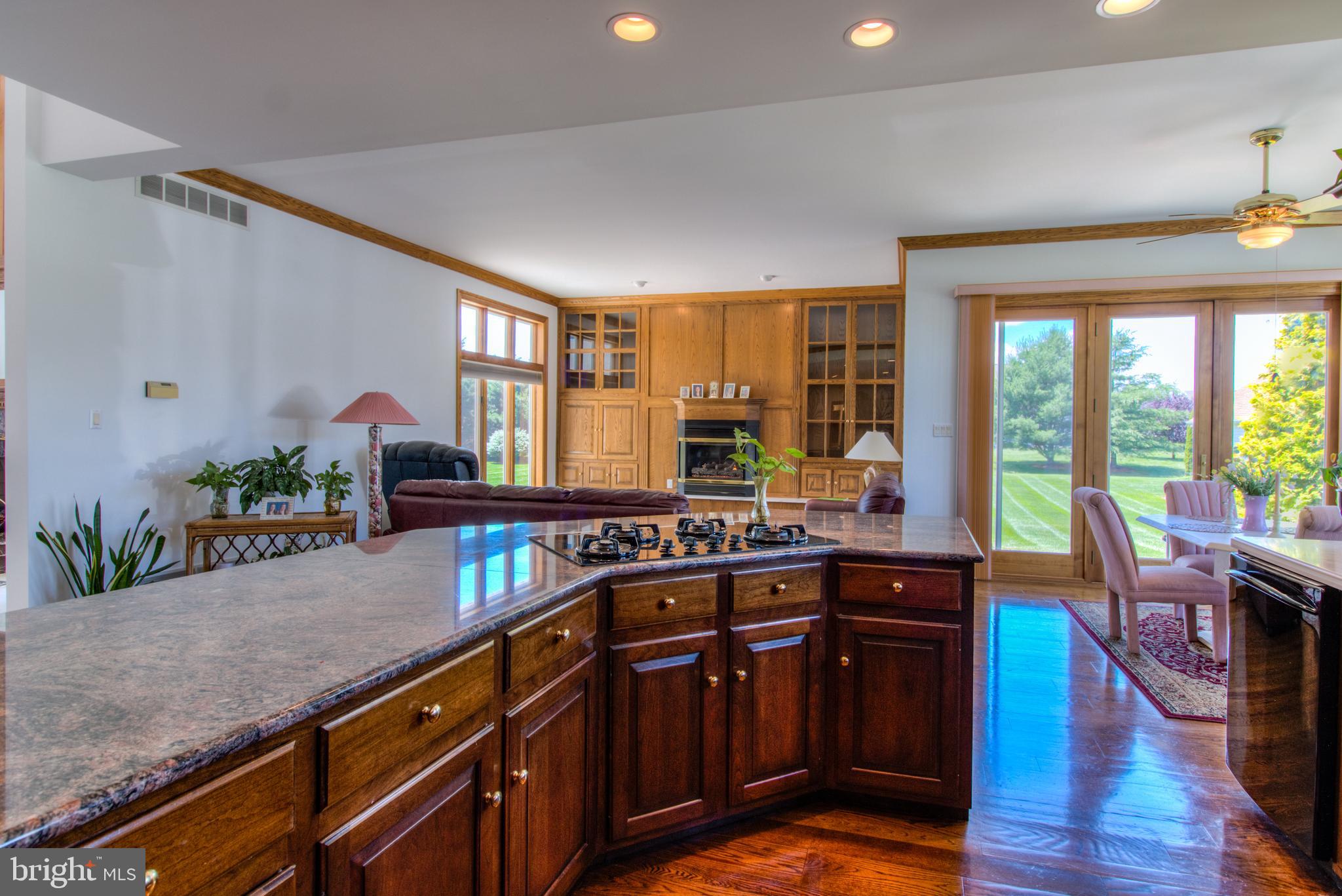 220 Silver Birch Lane Bear, DE 19701 - Photo 17 of 44 Kitchen