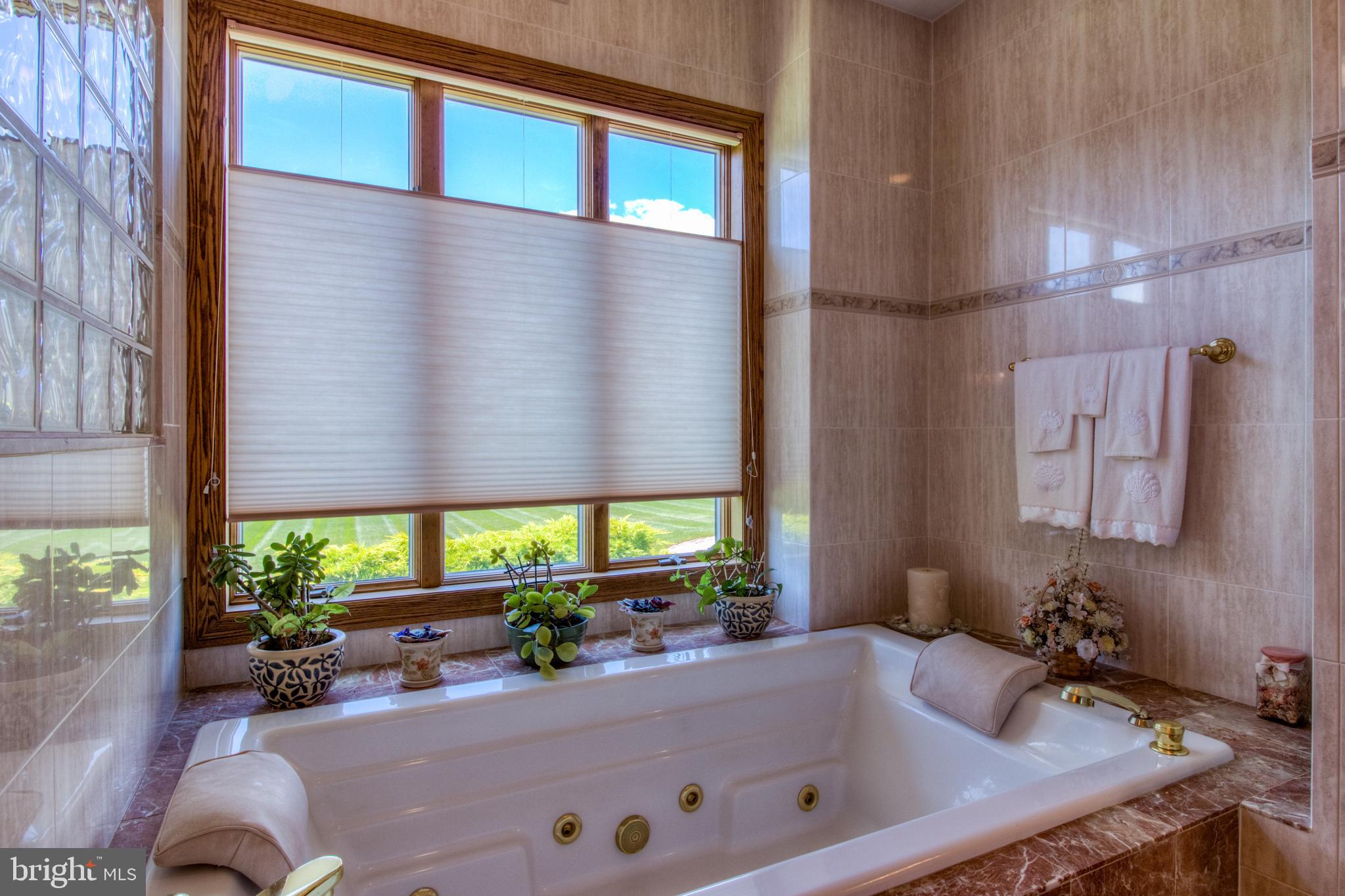 220 Silver Birch Lane Bear, DE 19701 - Photo 25 of 44 Master bathroom