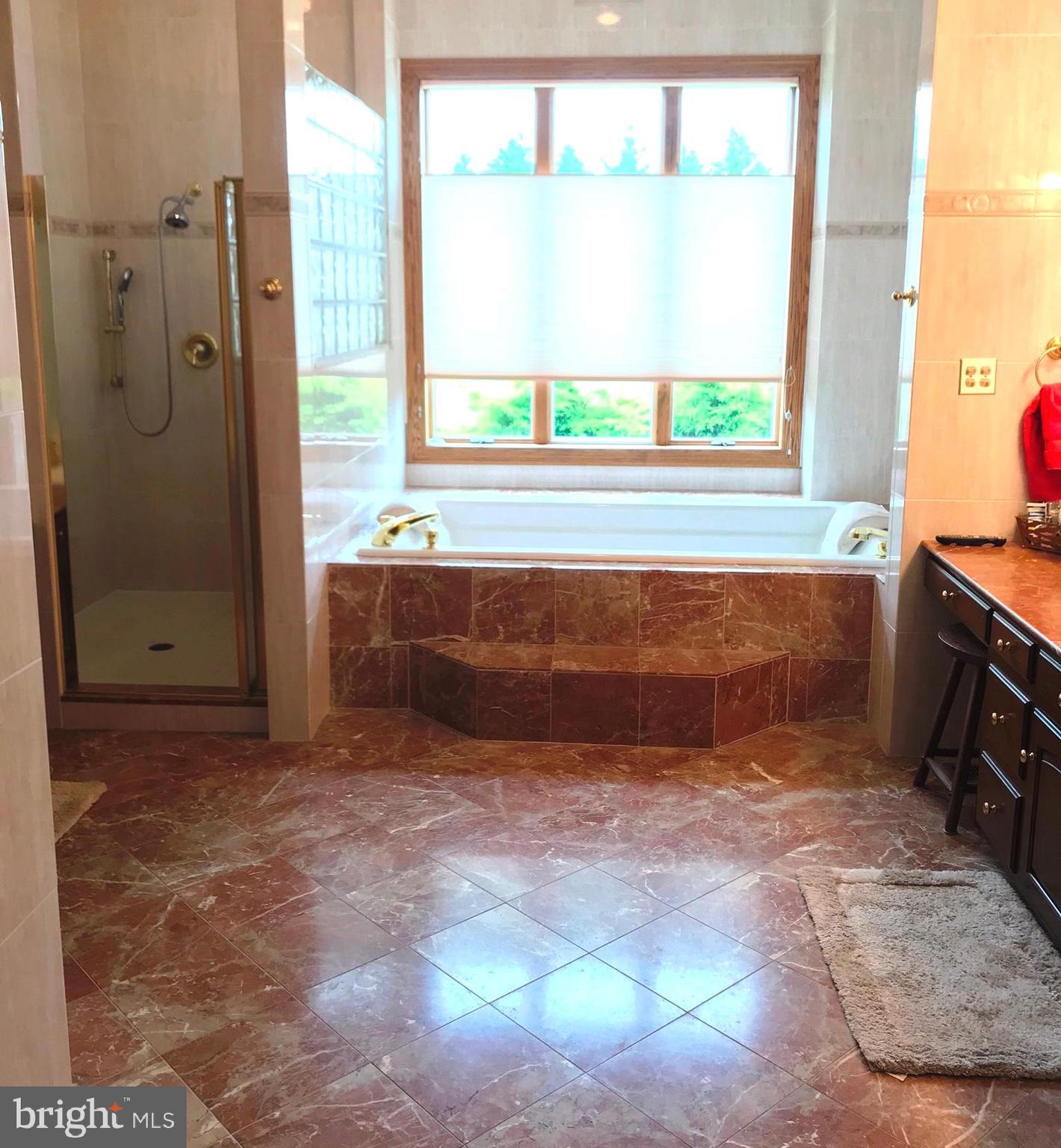 220 Silver Birch Lane Bear, DE 19701 - Photo 26 of 44 Master Bath