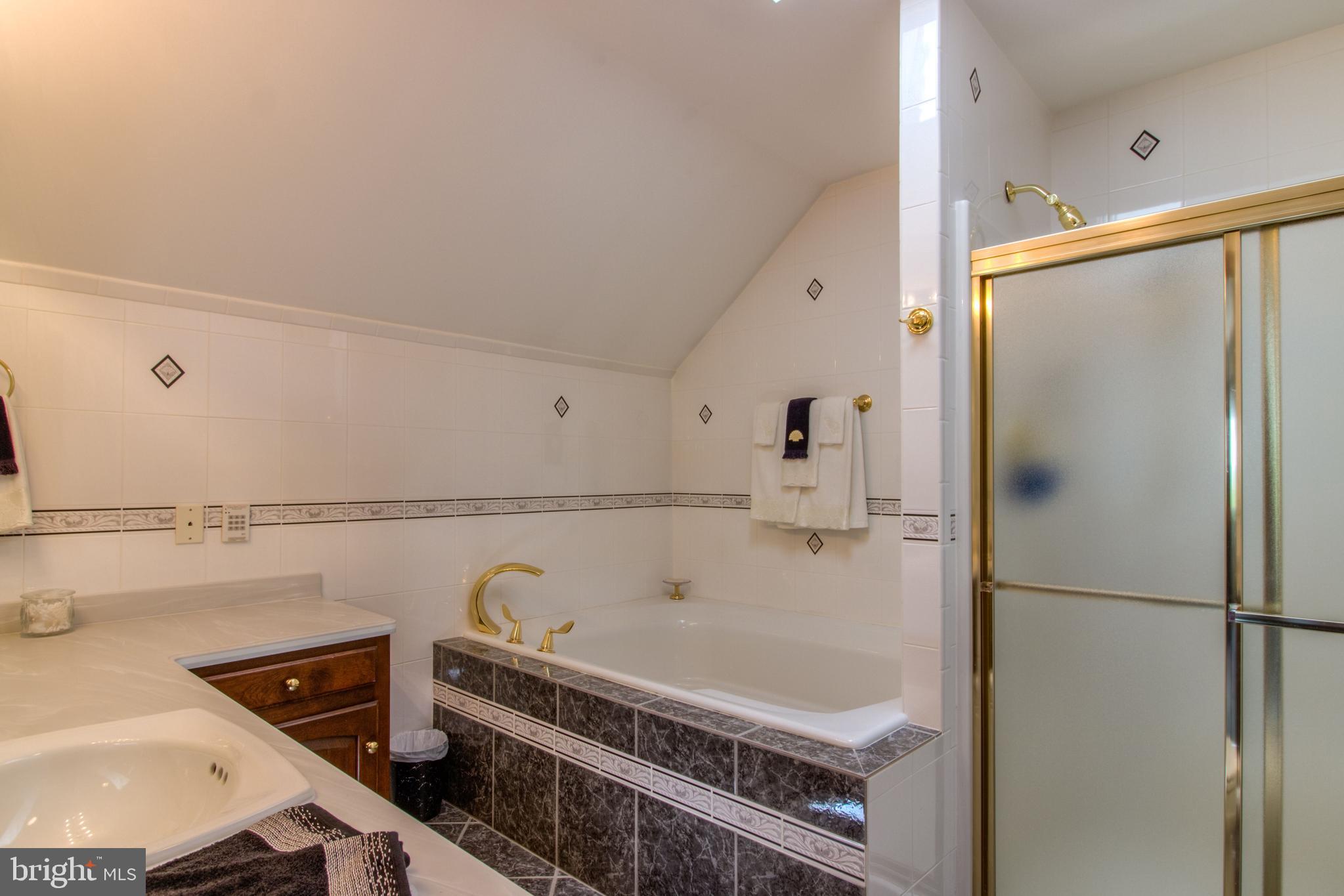 220 Silver Birch Lane Bear, DE 19701 - Photo 30 of 44 Upstairs bathroom