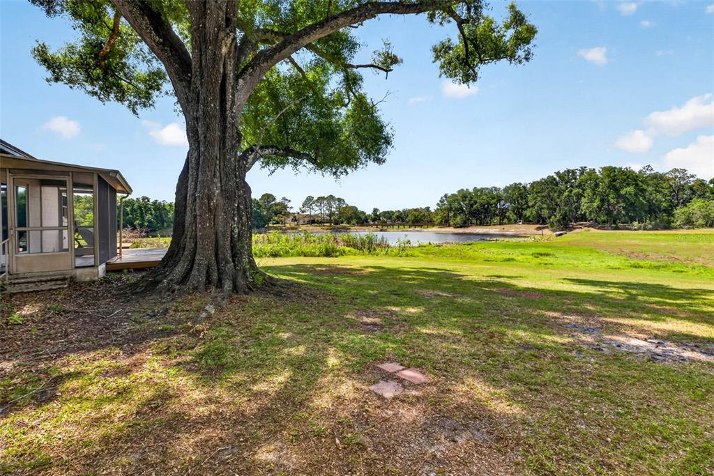 16330 Hanna Road Lutz, FL 33549 - Photo 38 of 41