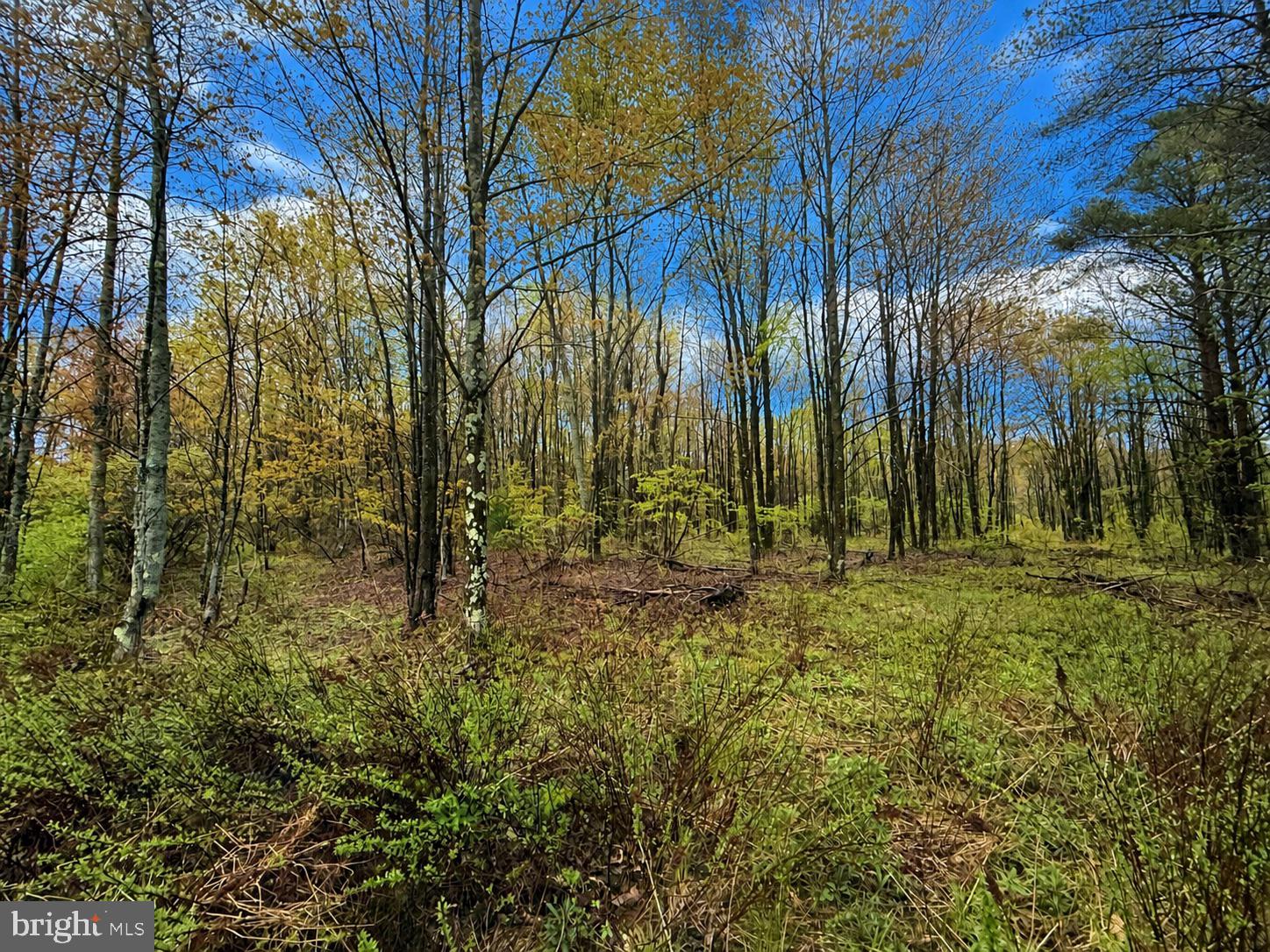 Grandview Road Kane, PA 16735 - Photo 1 of 3