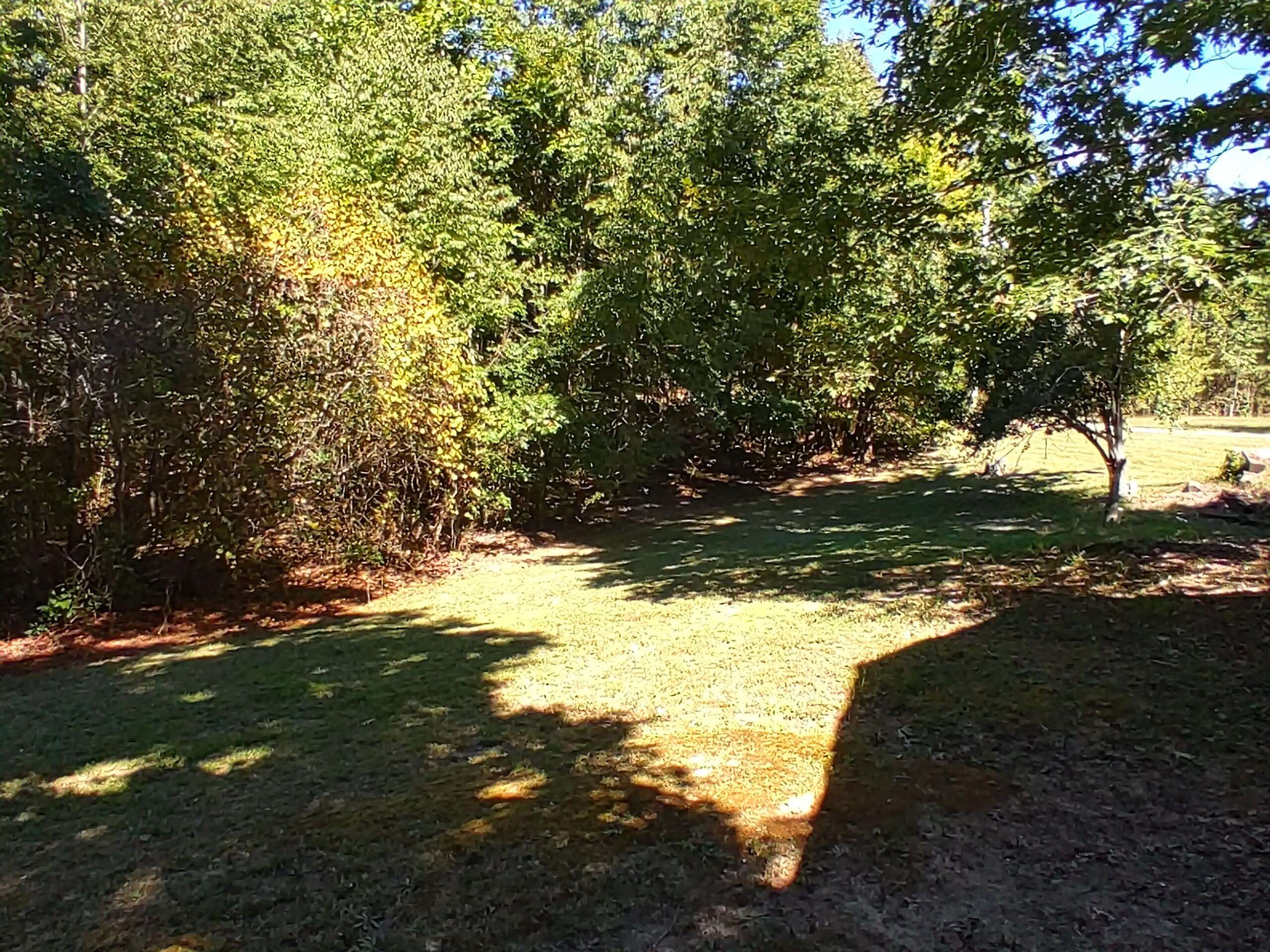 580 Coy Hill Road Olivehill, TN 38475 - Photo 4 of 14 Gallery Image 4