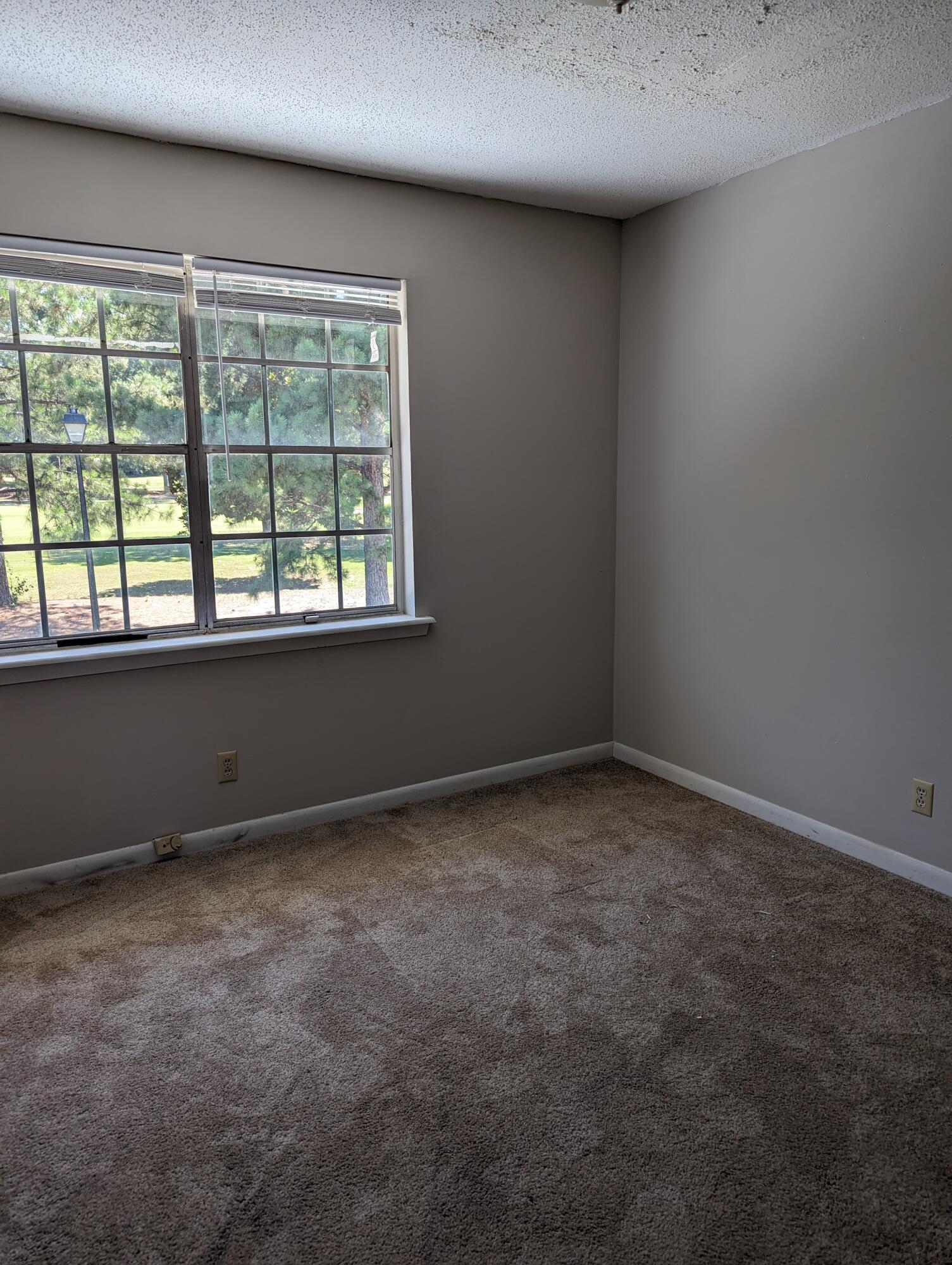 1672 Goshen Road, Unit B3 Augusta, GA 30906 - Photo 8 of 13 PXL_20240620_194849298 (1)