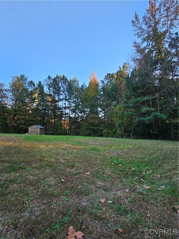 125 Lone Pine Road Crewe, VA 23930 - Photo 6 of 25 View of yard with a shed