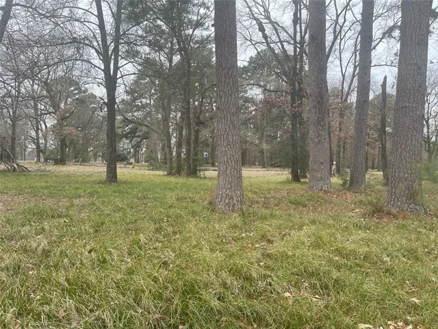 a view of outdoor space with trees