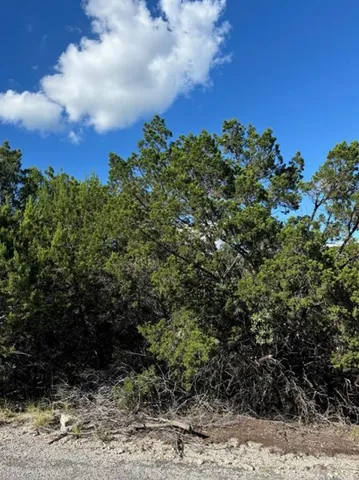a view of a bunch of trees