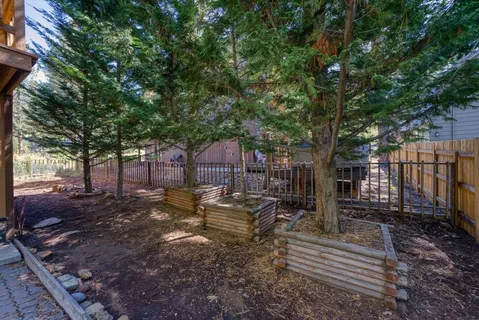a view of a yard with wooden fence