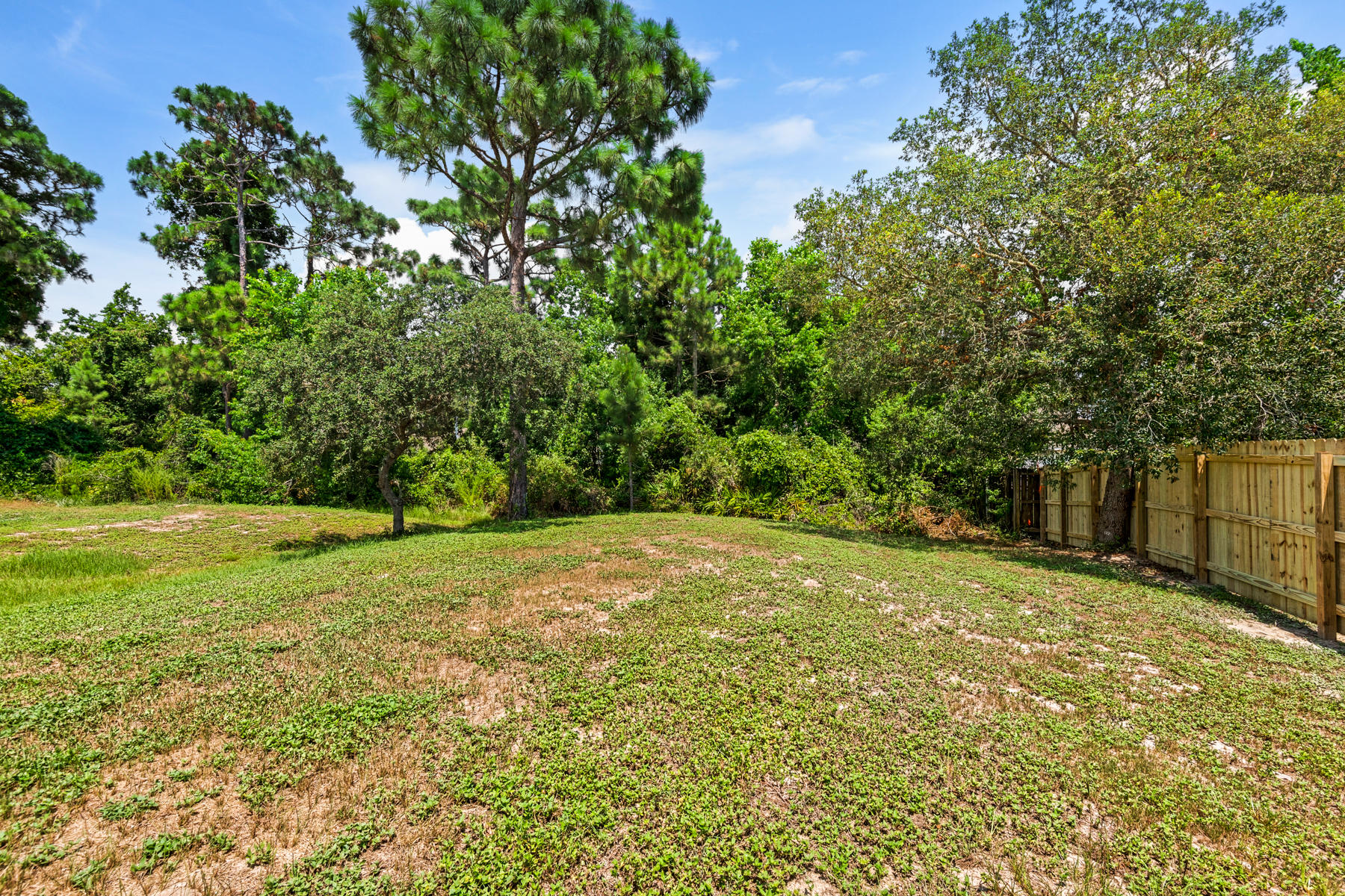 249 County Line Road Niceville, FL 32578 - Photo 11 of 17 a view of a yard with a tree