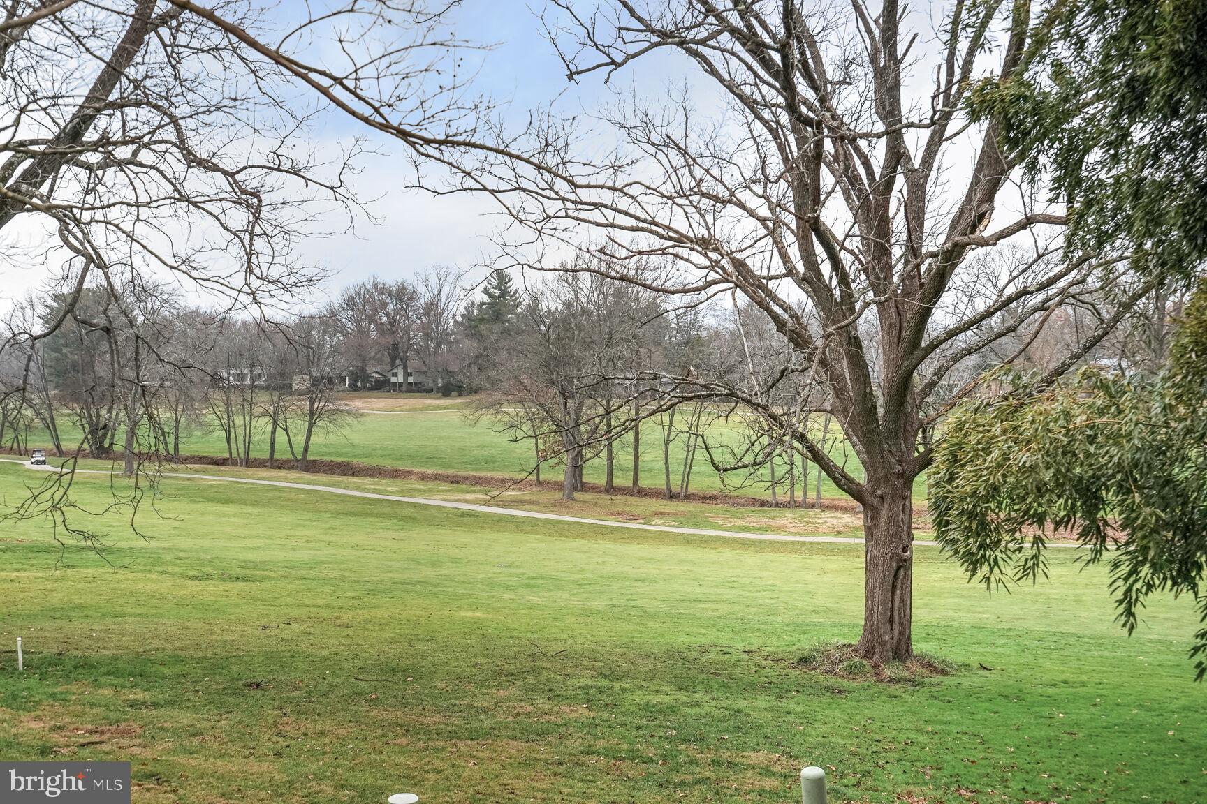 11350 Links Drive Reston, VA 20190 - Photo 4 of 22 a view of a trees with a yard