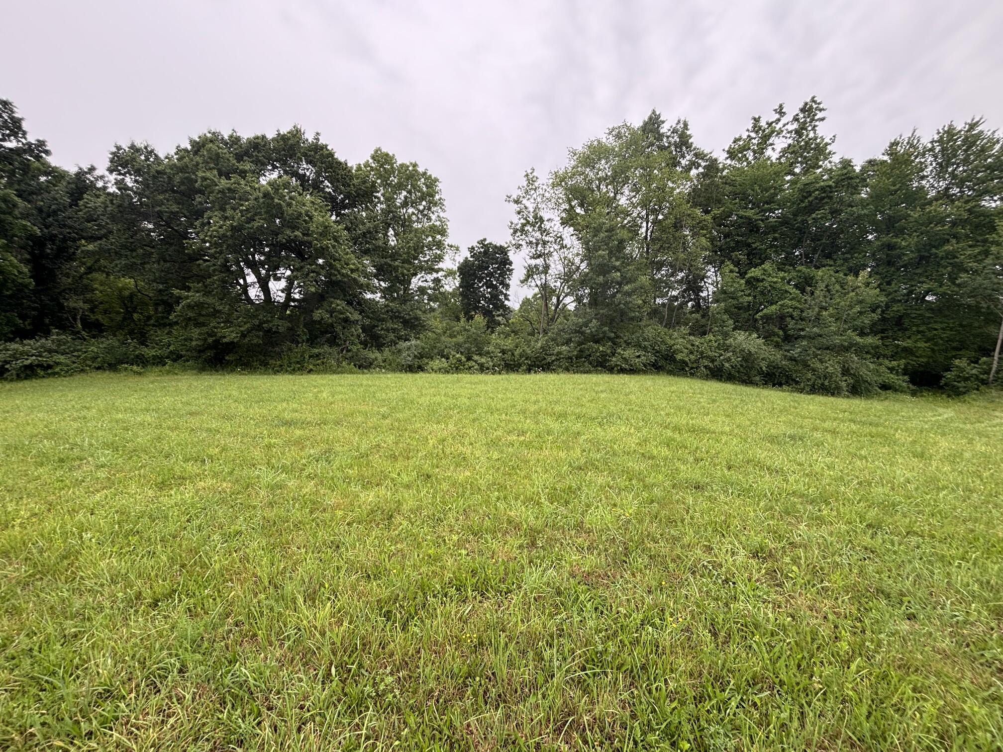 Vl Hawkins Road Jackson, MI 49201 - Photo 2 of 5 IMG_1410