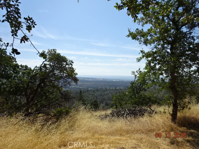 0 Lookout Mountain Road Oak Run, CA 96069 - Photo 3 of 23 Gallery Image 3