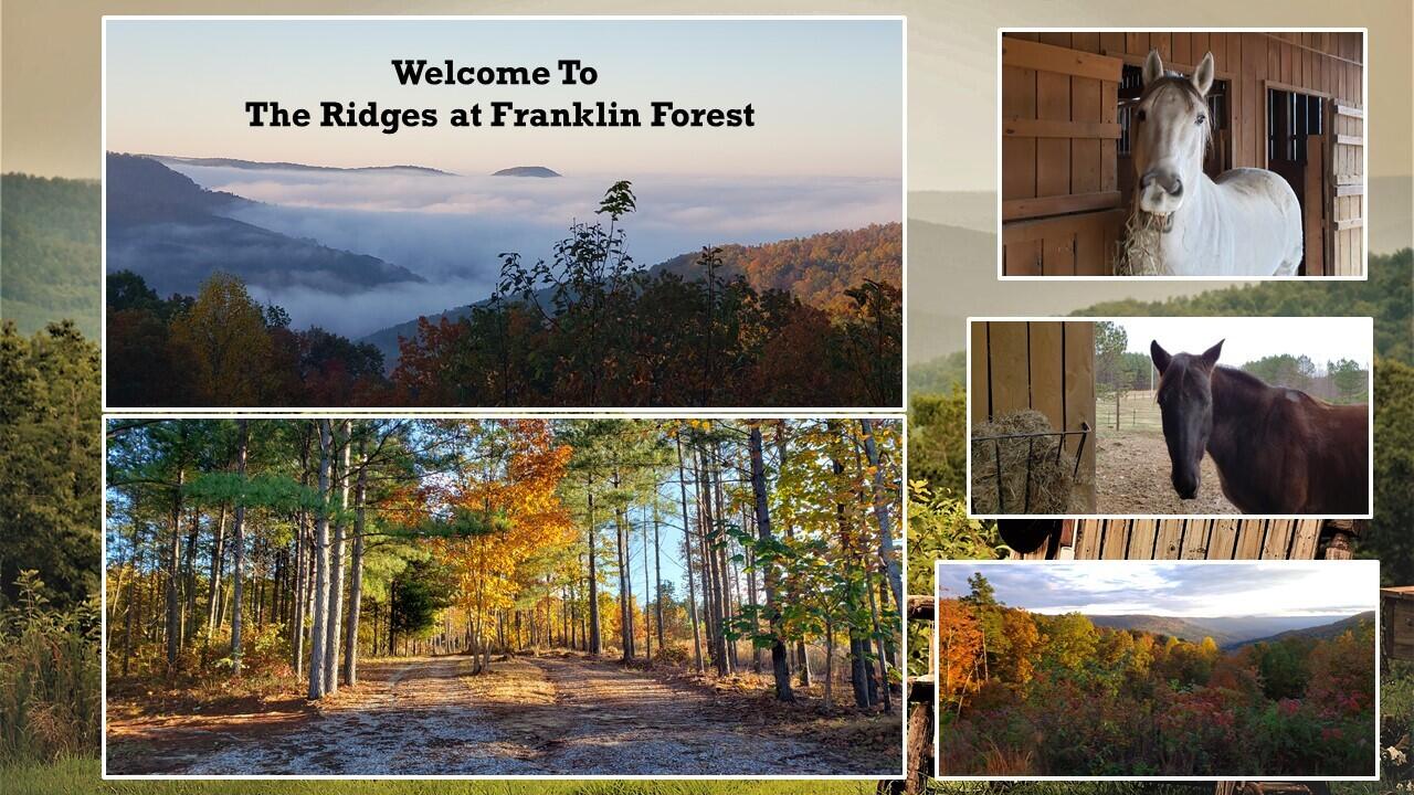 The Ridges at Franklin Forest
