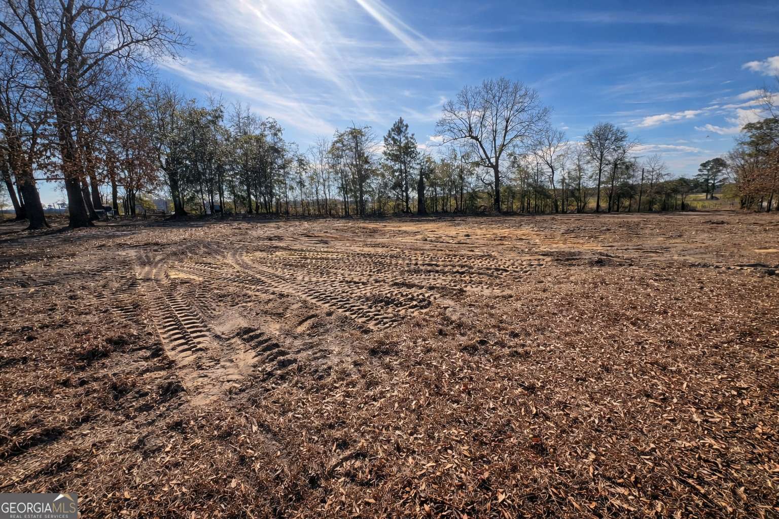 4539 Lewis Church Road Millen, GA 30442 - Photo 1 of 1