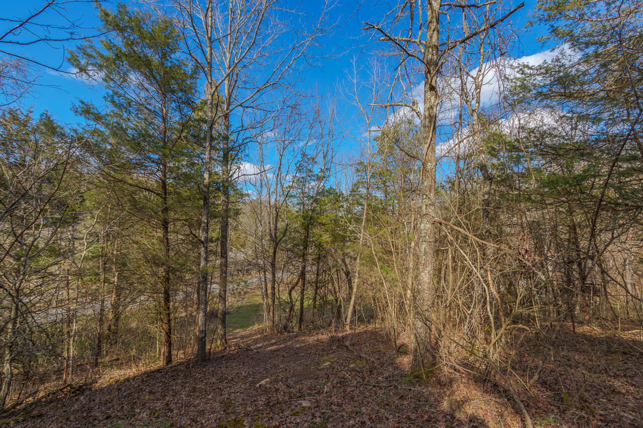 1 Camp Pleasant Road Frankfort, KY 40601 - Photo 38 of 67 074-2918-Cedar-Rd-Stamping-Ground-KY-403