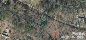 a view of a lush green forest