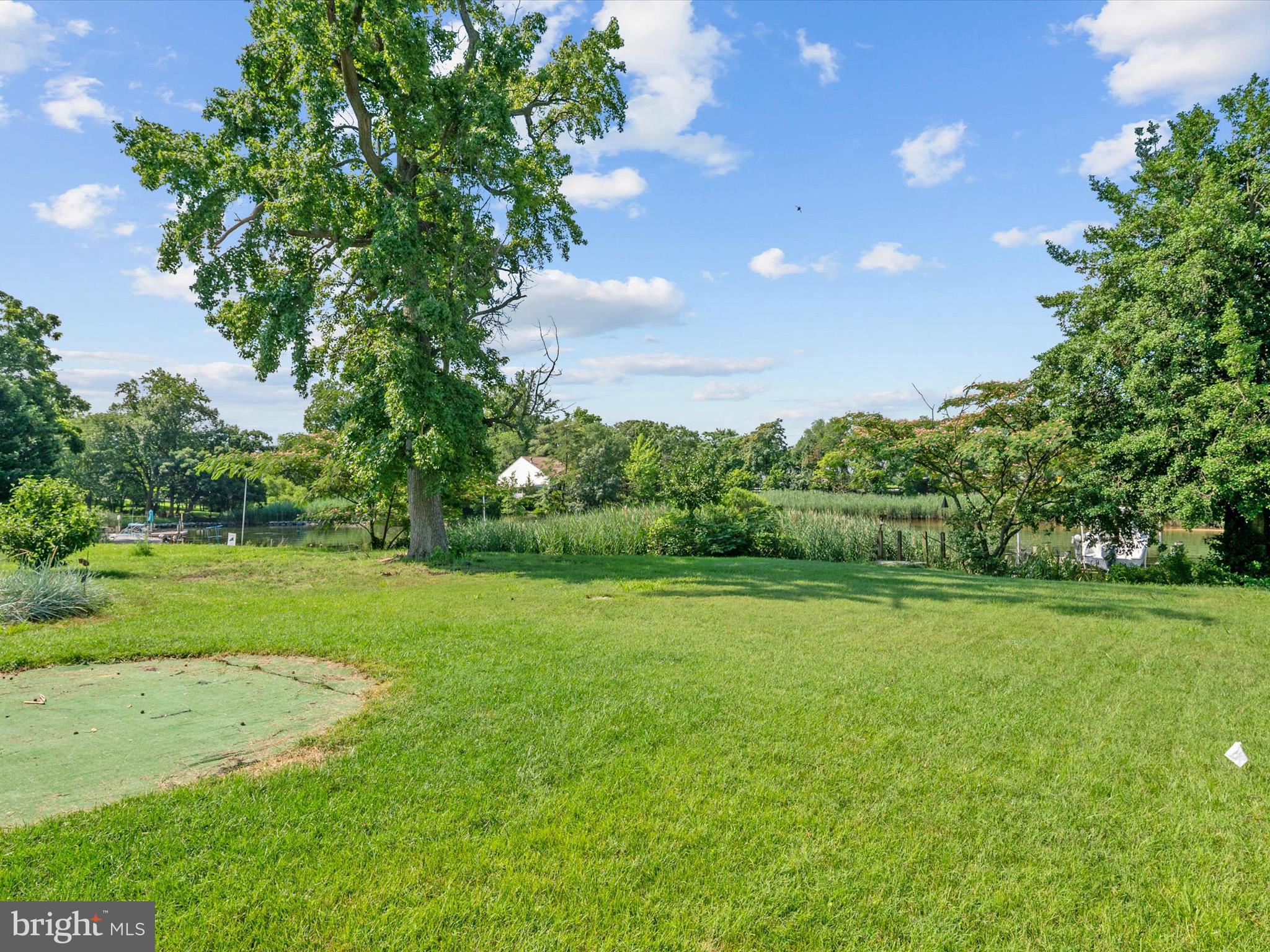 8426 Park Road Pasadena, MD 21122 - Photo 51 of 59 a view of a big yard with plants and large trees