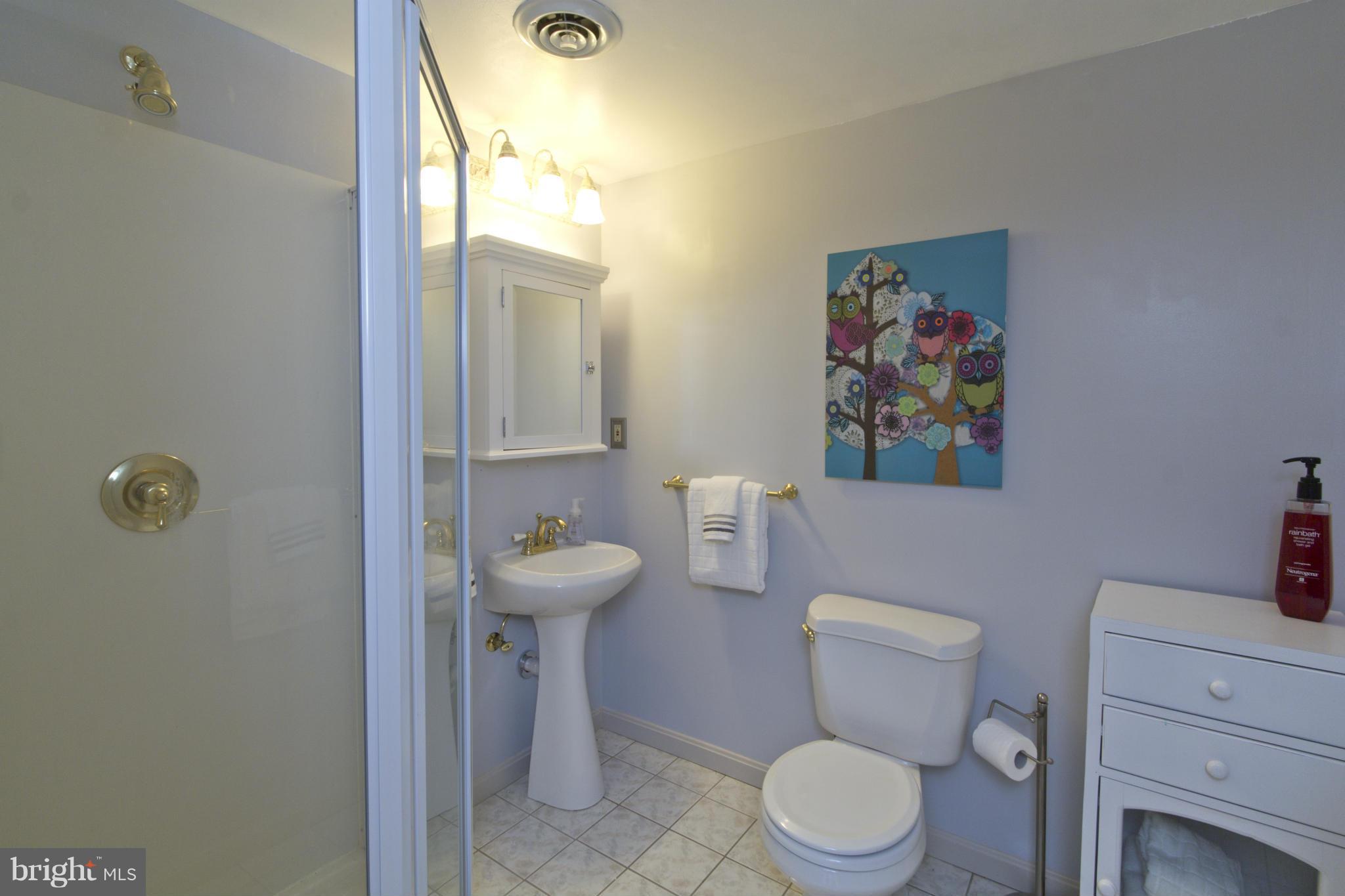 226 Arundel Road Pasadena, MD 21122 - Photo 19 of 30 Lower Level Bathroom