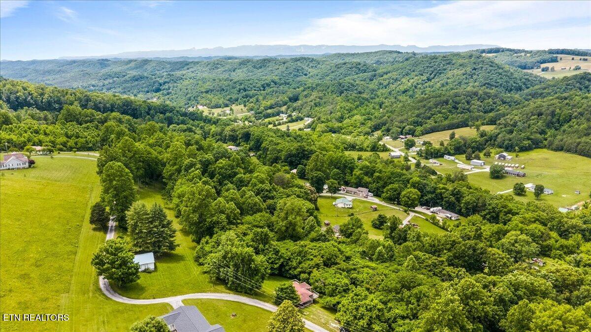 104 Jackson Road Andersonville, TN 37705 - Photo 6 of 37 One-Acre Property Opportunity