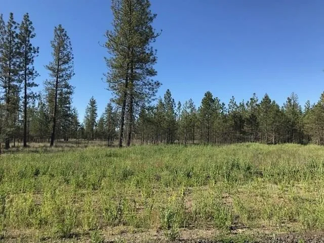 $120,000 | 5742 J Corkscrew Canyon Road, Tumtum, WA 99034