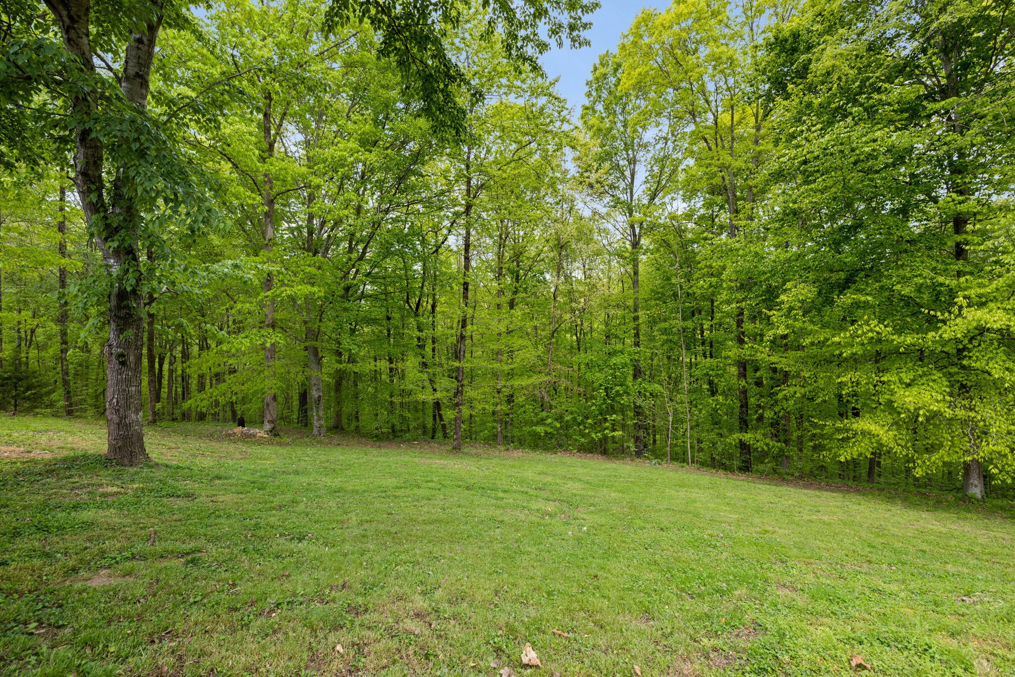 7815 Daugherty-Capley Road Bon Aqua, TN 37025 - Photo 41 of 59 Gallery Image 41