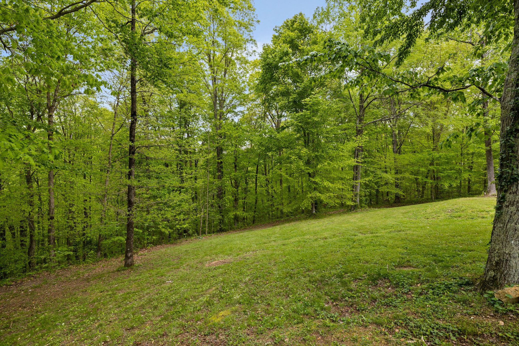 7815 Daugherty-Capley Road Bon Aqua, TN 37025 - Photo 42 of 59 Gallery Image 42