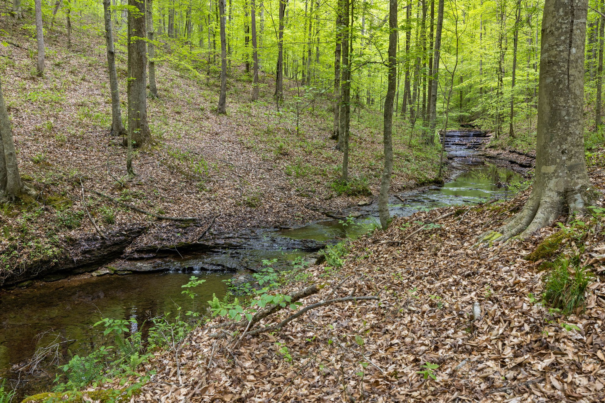 7815 Daugherty-Capley Road Bon Aqua, TN 37025 - Photo 45 of 59 Gallery Image 45
