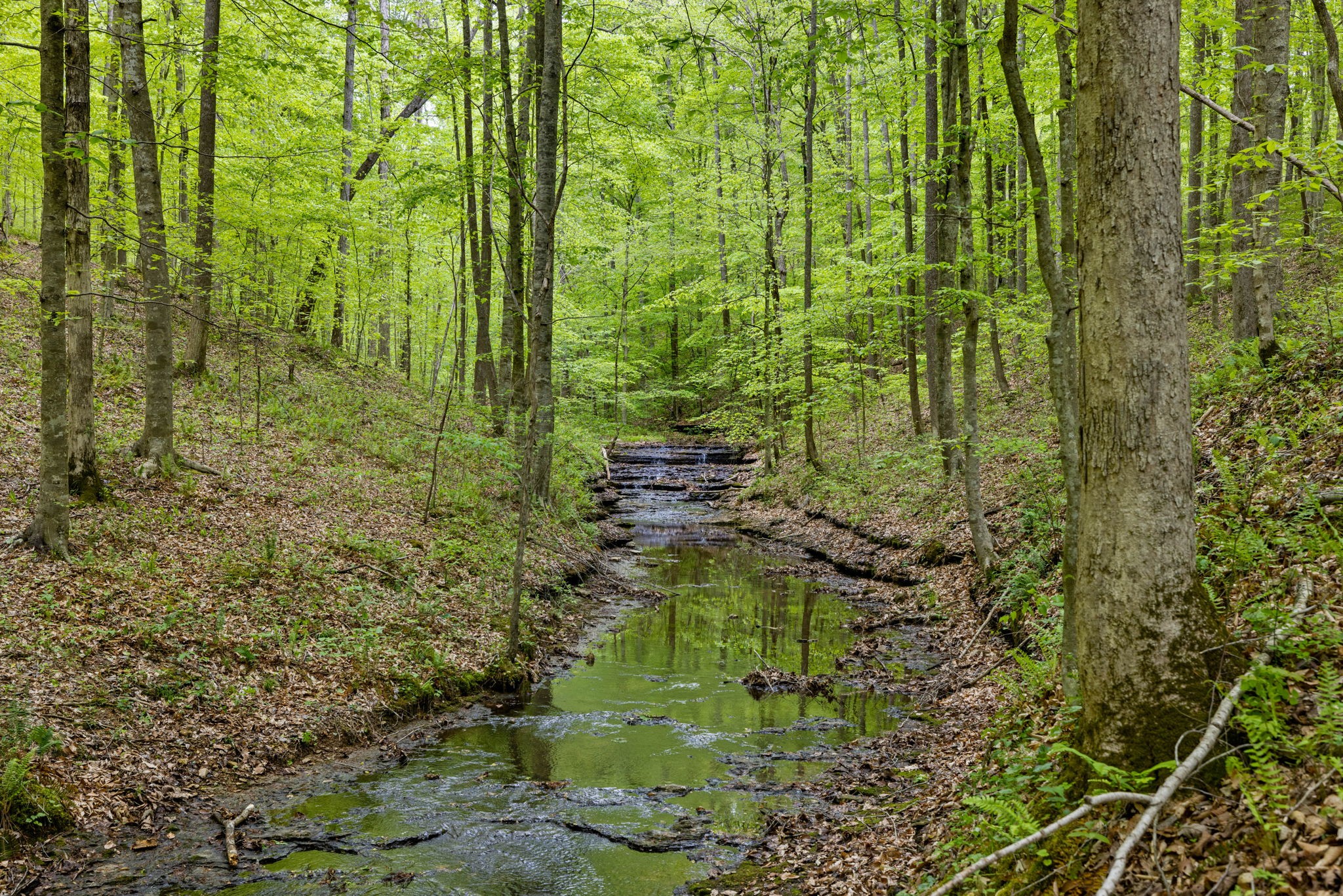 7815 Daugherty-Capley Road Bon Aqua, TN 37025 - Photo 48 of 59 Gallery Image 48