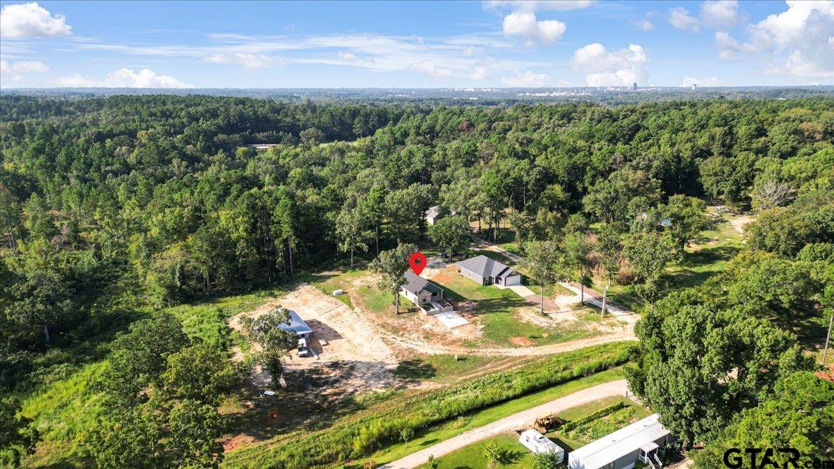 6600 Lionheart Drive Tyler, TX 75708 - Photo 30 of 32 a view of a forest with a street