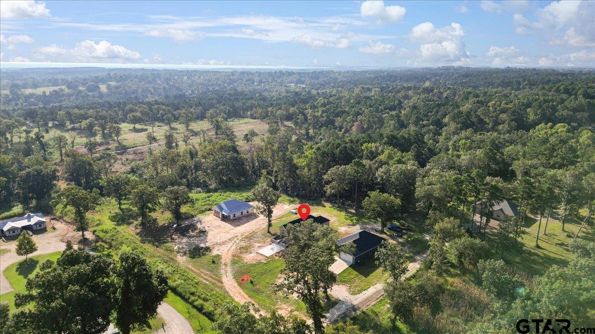 6600 Lionheart Drive Tyler, TX 75708 - Photo 31 of 32 a view of city and mountain