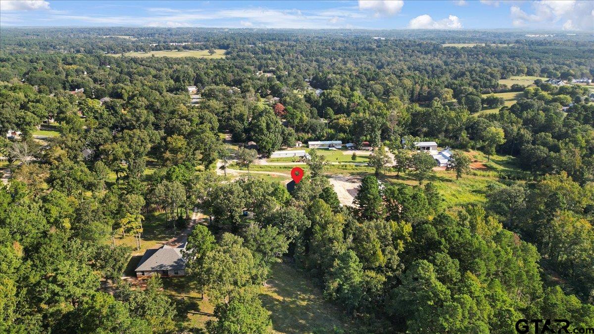 6600 Lionheart Drive Tyler, TX 75708 - Photo 32 of 32 a view of a city with lush green forest