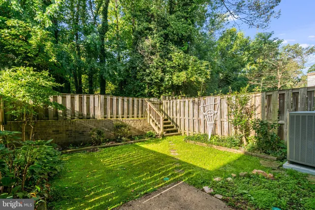 a view of outdoor space with trees all around