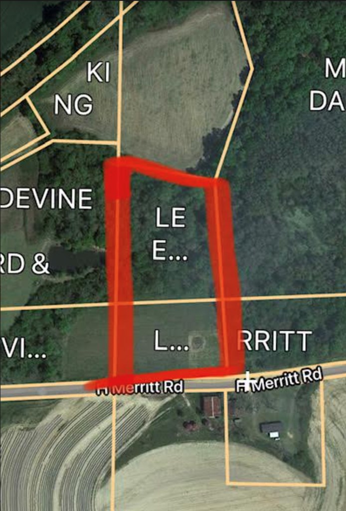 0 H Merritt Road Slocomb, AL 36375 - Photo 2 of 6