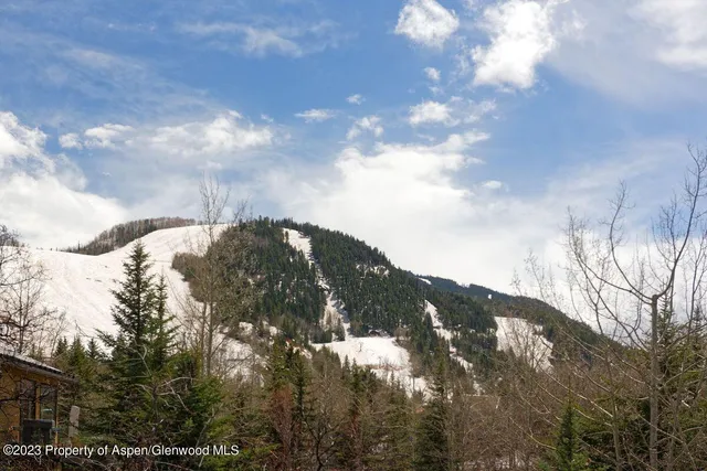 a view of a large tree