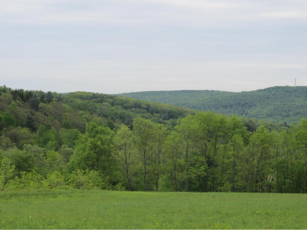 315 Bull Creek Road Whitney Point, NY 13862 - Photo 1 of 15