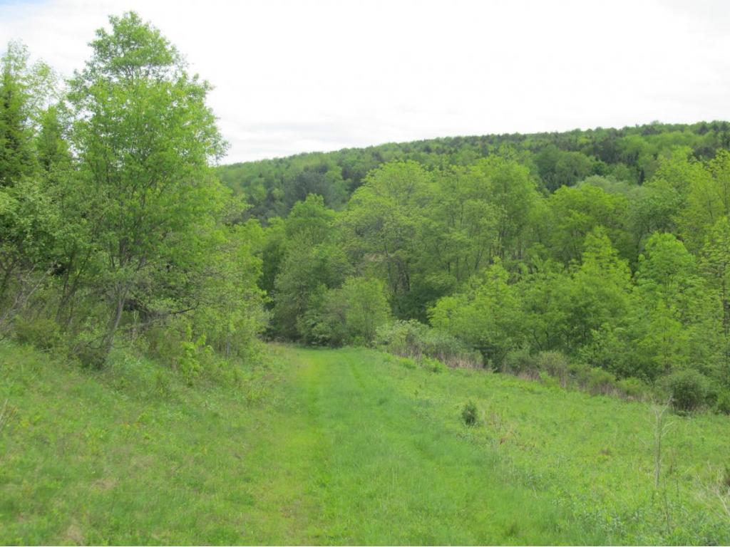 315 Bull Creek Road Whitney Point, NY 13862 - Photo 11 of 15