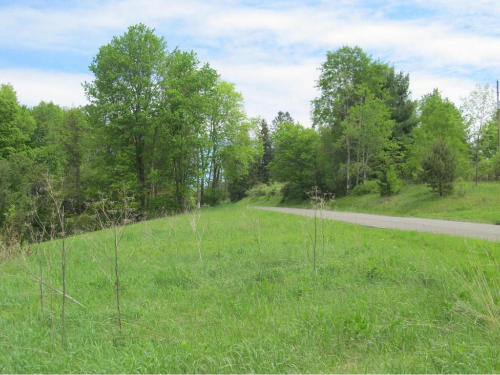 315 Bull Creek Road Whitney Point, NY 13862 - Photo 12 of 15