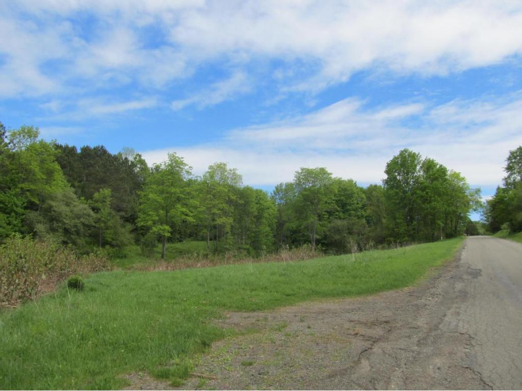 315 Bull Creek Road Whitney Point, NY 13862 - Photo 13 of 15