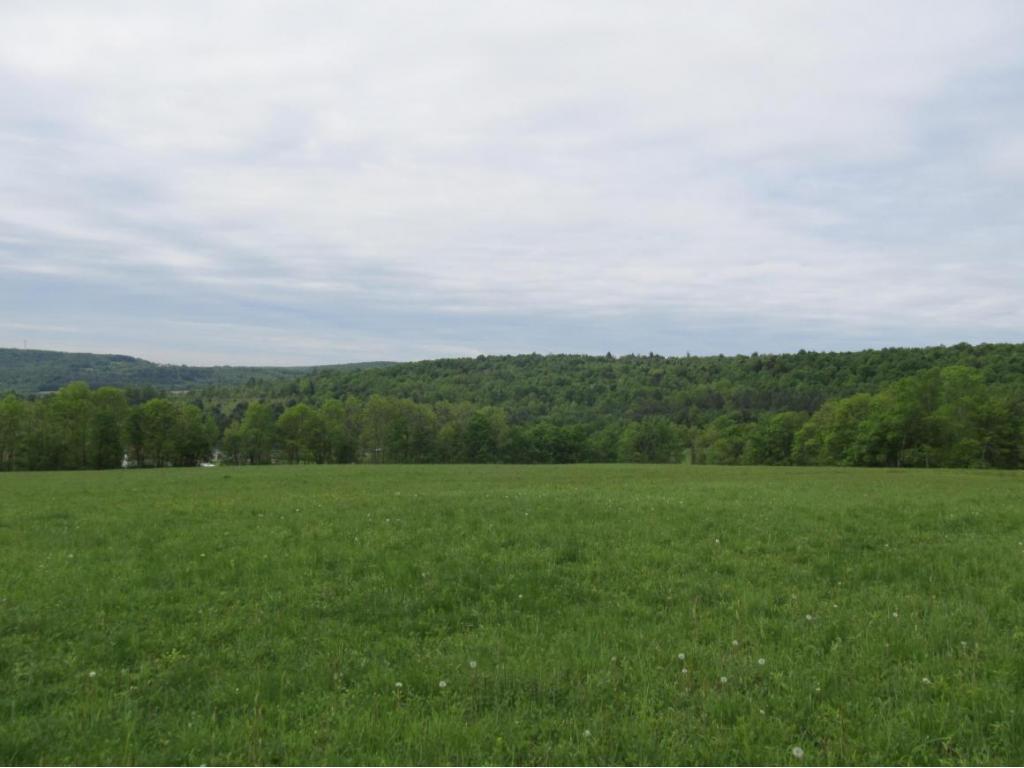 315 Bull Creek Road Whitney Point, NY 13862 - Photo 2 of 15