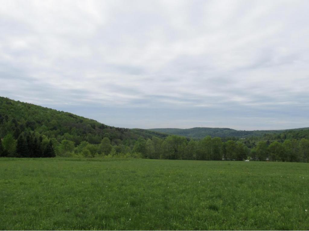 315 Bull Creek Road Whitney Point, NY 13862 - Photo 3 of 15