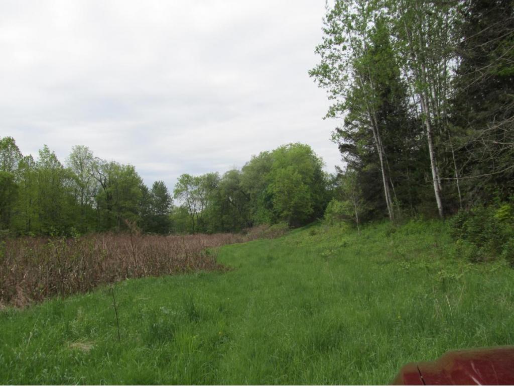 315 Bull Creek Road Whitney Point, NY 13862 - Photo 4 of 15