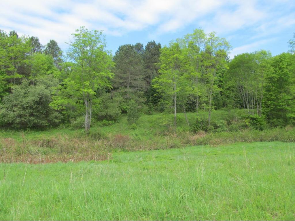 315 Bull Creek Road Whitney Point, NY 13862 - Photo 5 of 15