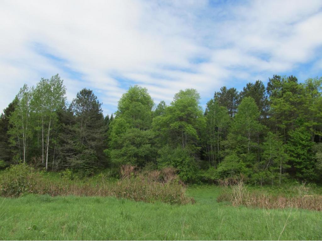 315 Bull Creek Road Whitney Point, NY 13862 - Photo 6 of 15