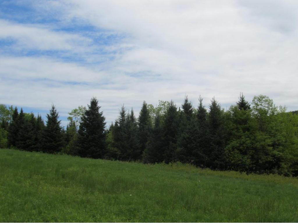 315 Bull Creek Road Whitney Point, NY 13862 - Photo 7 of 15