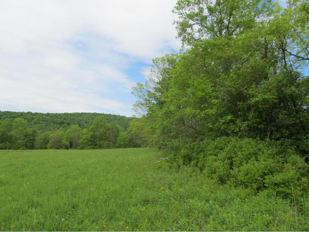 315 Bull Creek Road Whitney Point, NY 13862 - Photo 8 of 15