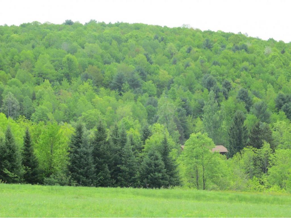 315 Bull Creek Road Whitney Point, NY 13862 - Photo 9 of 15