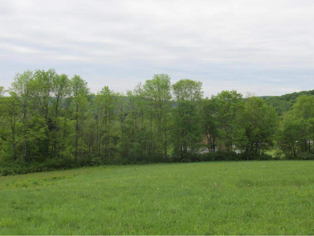 315 Bull Creek Road Whitney Point, NY 13862 - Photo 10 of 15